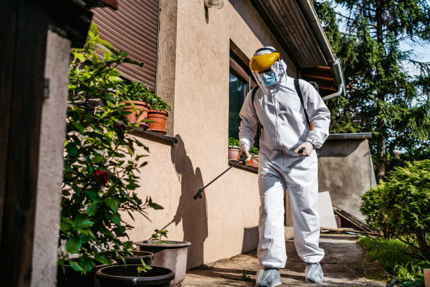 Best Mosquito Control Services  in Shelley, ID