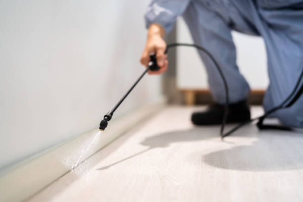 Best Best Pest Control Companies  in Shelley, ID