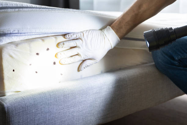 Best Best Pest Control Companies  in Shelley, ID