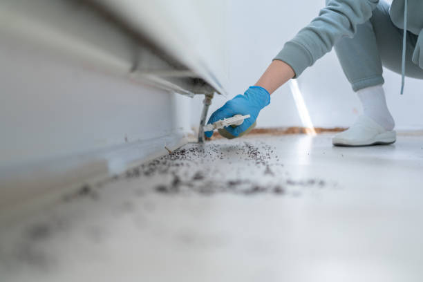 Best Affordable Pest Control Services  in Shelley, ID